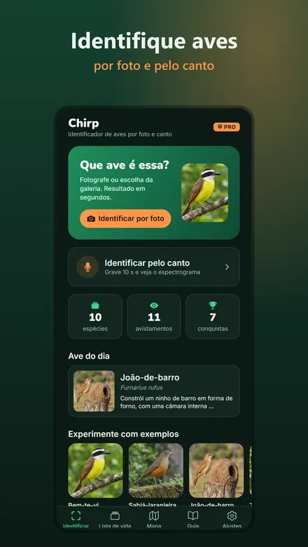 Tela do Chirp